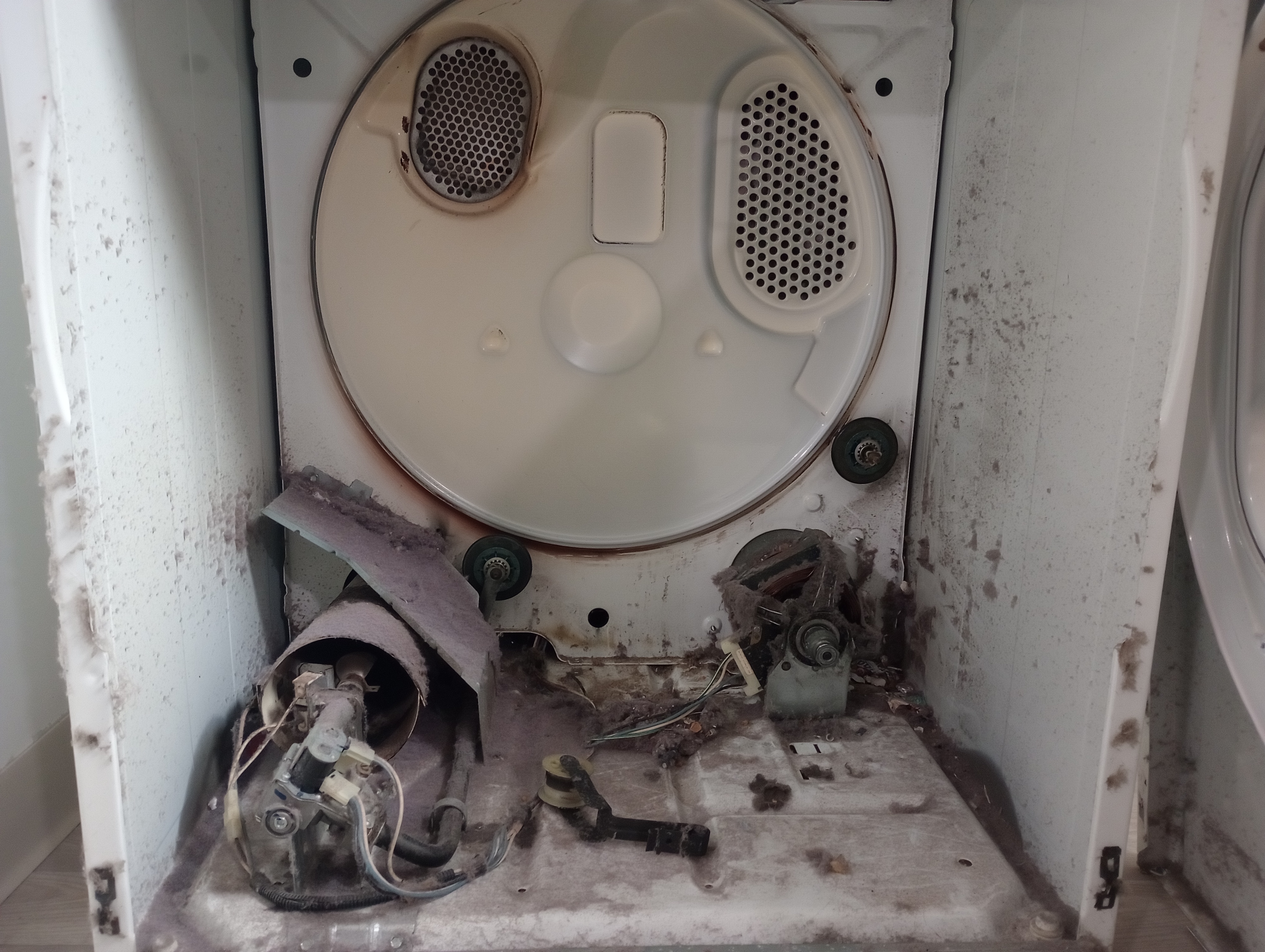 Dryer and Dryer Vent Cleaning
