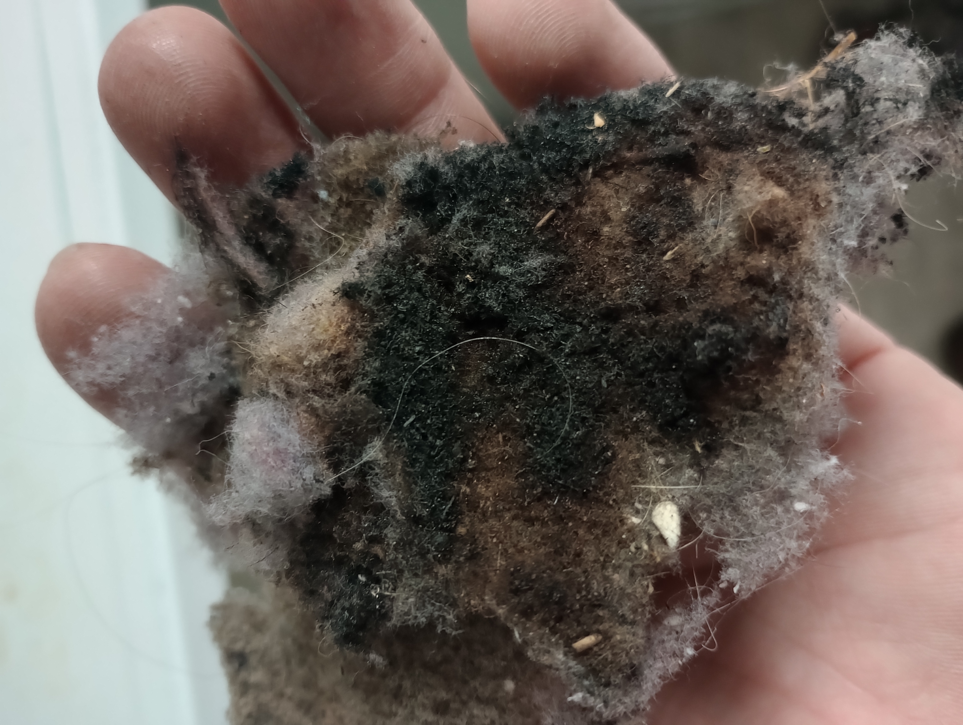Dryer and Dryer Vent Cleaning