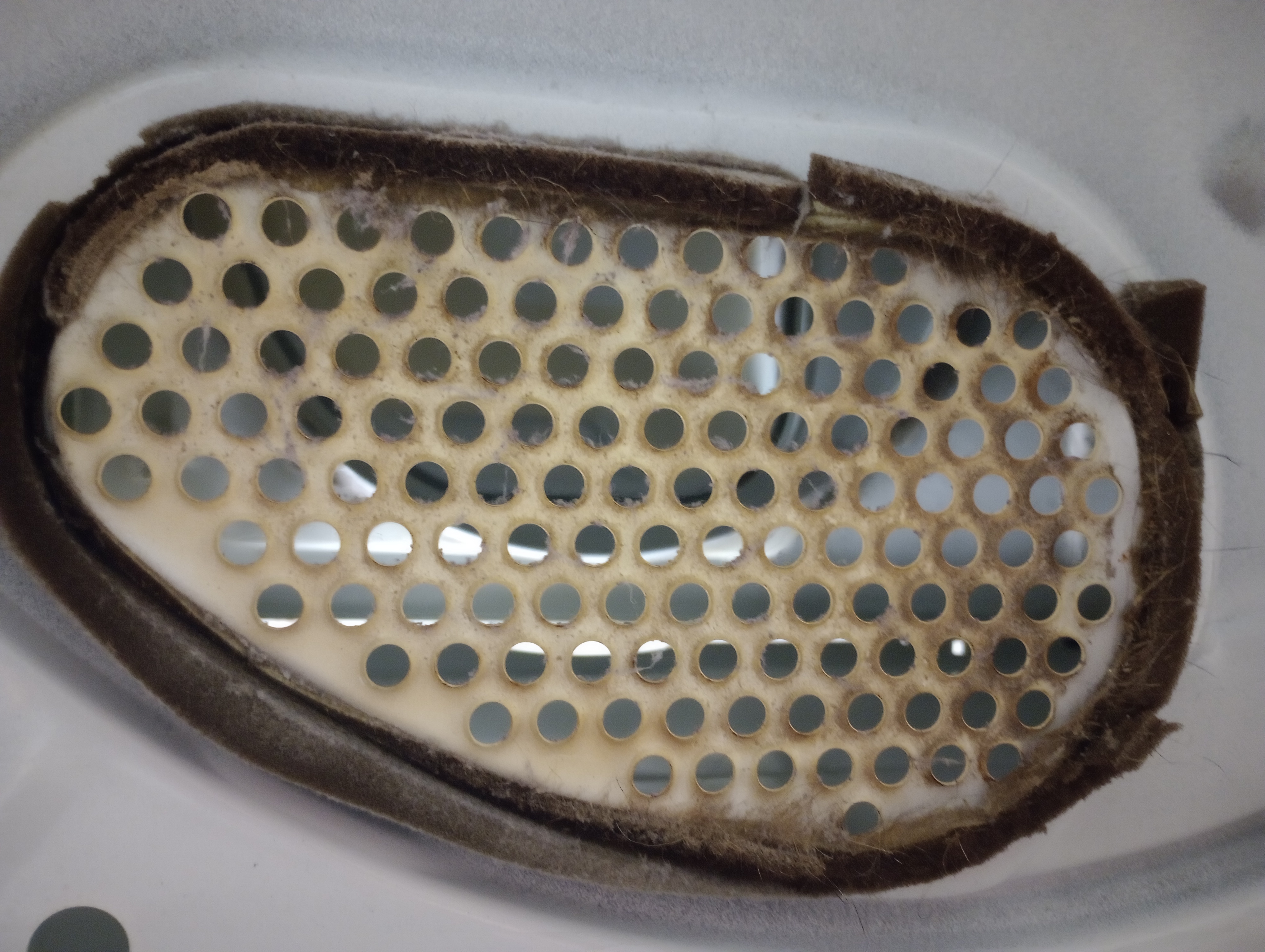 Dryer and Dryer Vent Cleaning